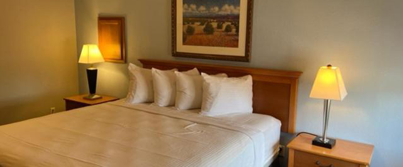 Relax in Our King Standard Room